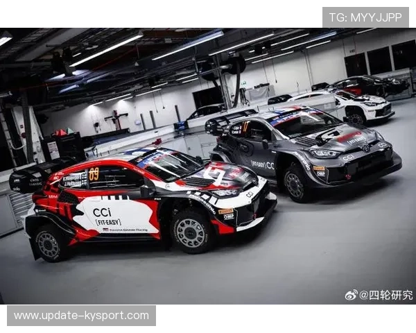 WRC冠军争夺战：车队拼搏只为夺冠，wrc2019冠军车队